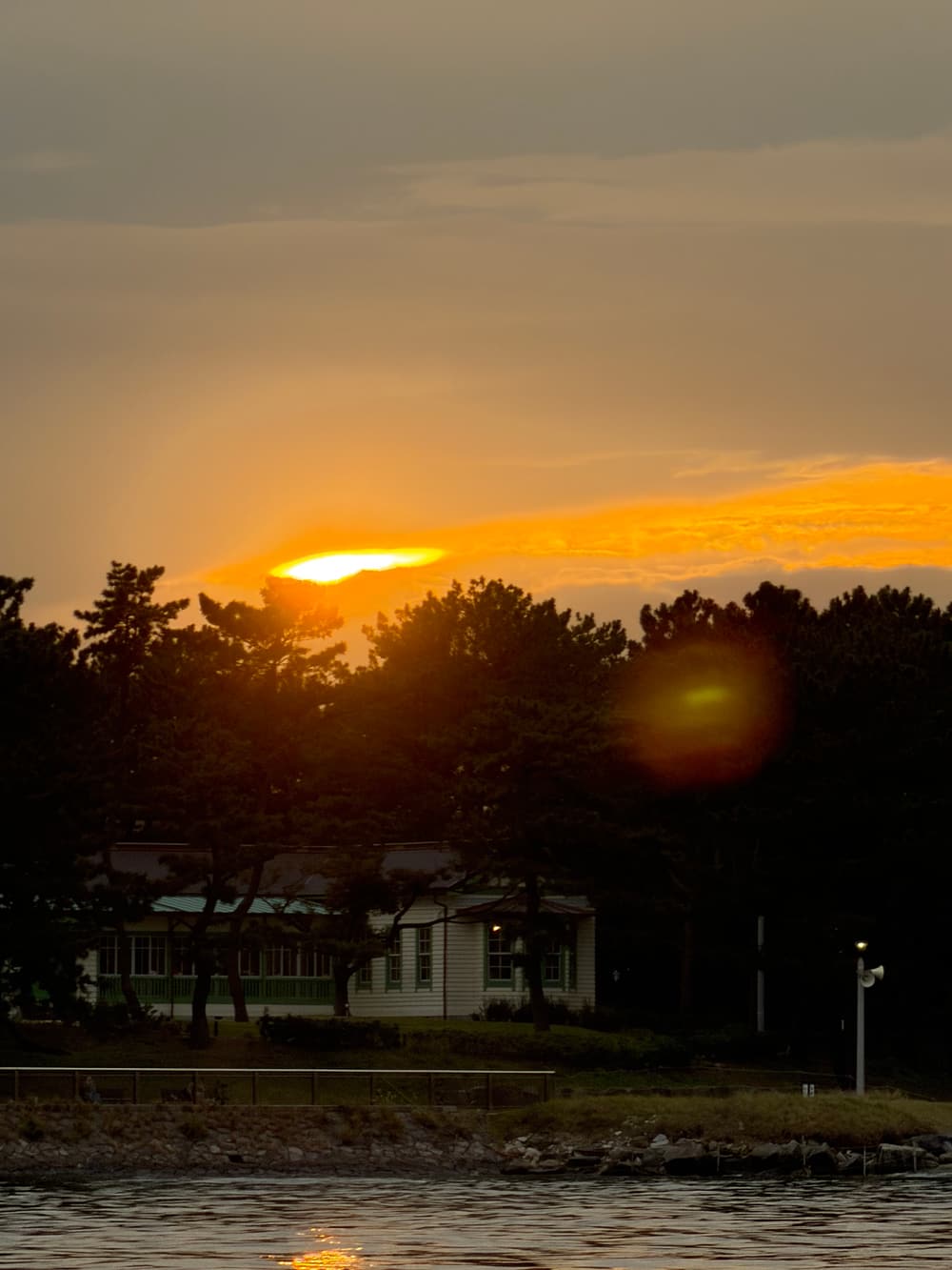松林の向こうに沈む鮮やかな夕日